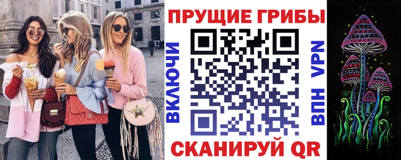 Псилоцибиновые грибы прущие грибы  где найти наркотики  ссылка на мегу ссылки  Дорогобуж 